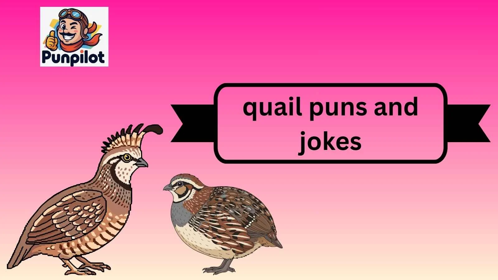 quail puns and jokes