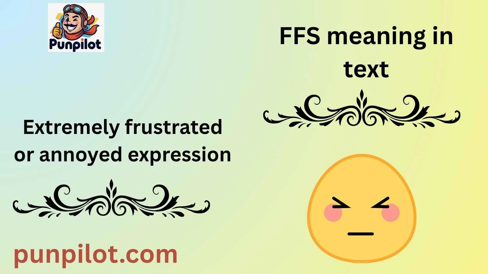 FFS meaning in text