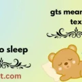 gts meaning in text