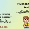 HM meaning in text