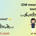 IDM meaning in text