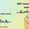 IMY meaning in text