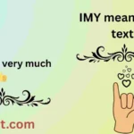 IMY meaning in text