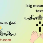 istg meaning in text