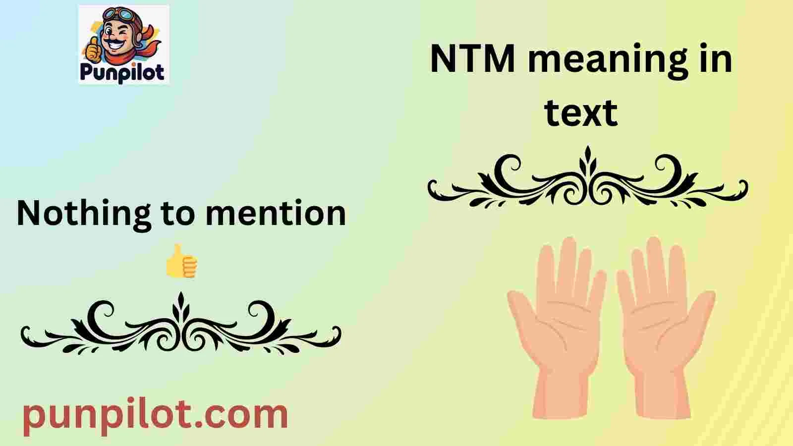 NTM meaning in text