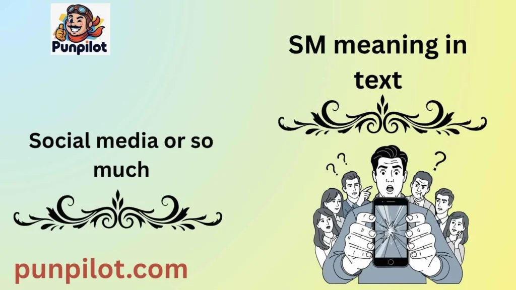 SM meaning in text