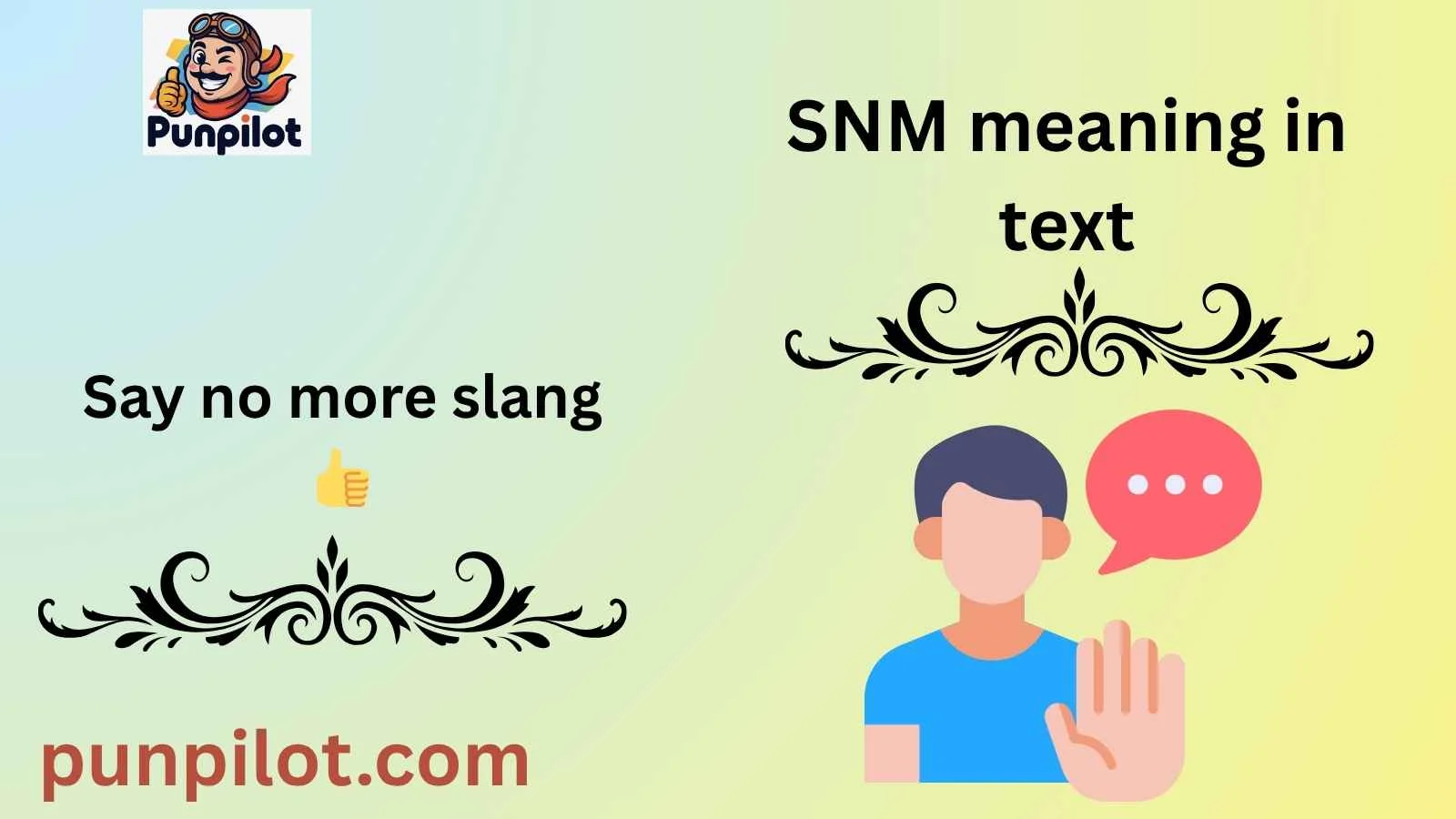 SNM meaning in text