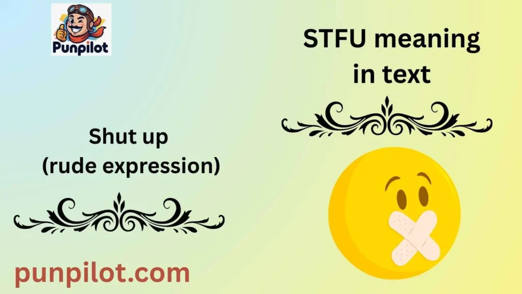 STFU meaning in text