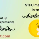 STFU meaning in text