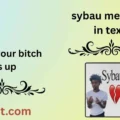 sybau meaning in text