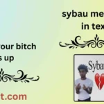 sybau meaning in text