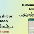 ts meaning in text