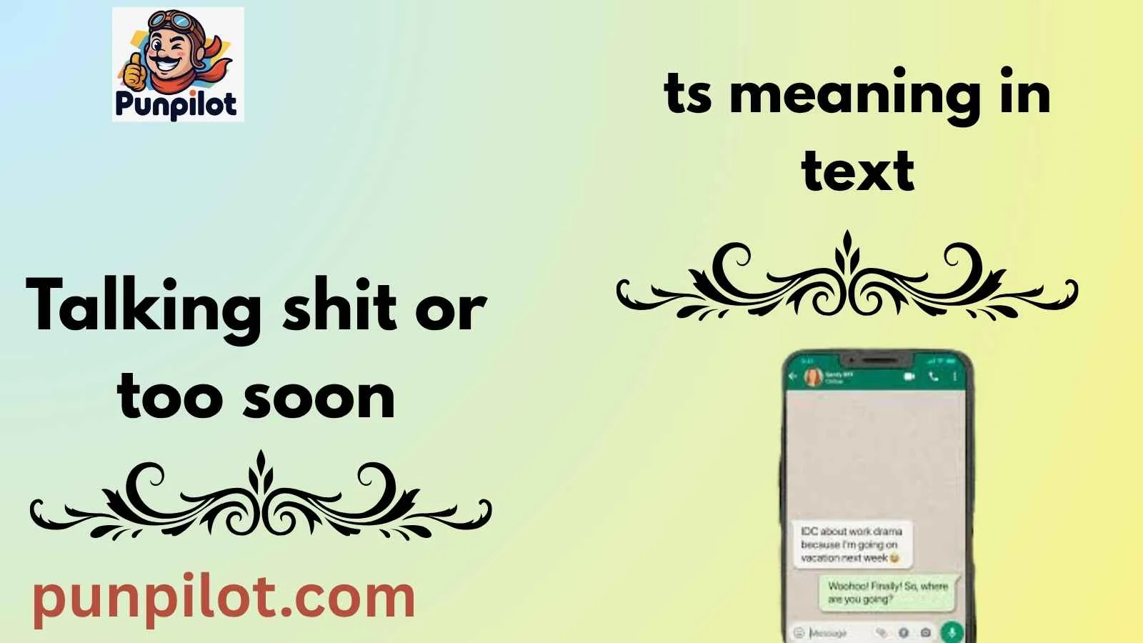 ts meaning in text