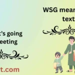 WSG meaning in text
