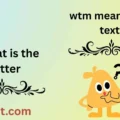 wtm meaning in text