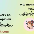 wtv meaning in text