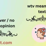 wtv meaning in text