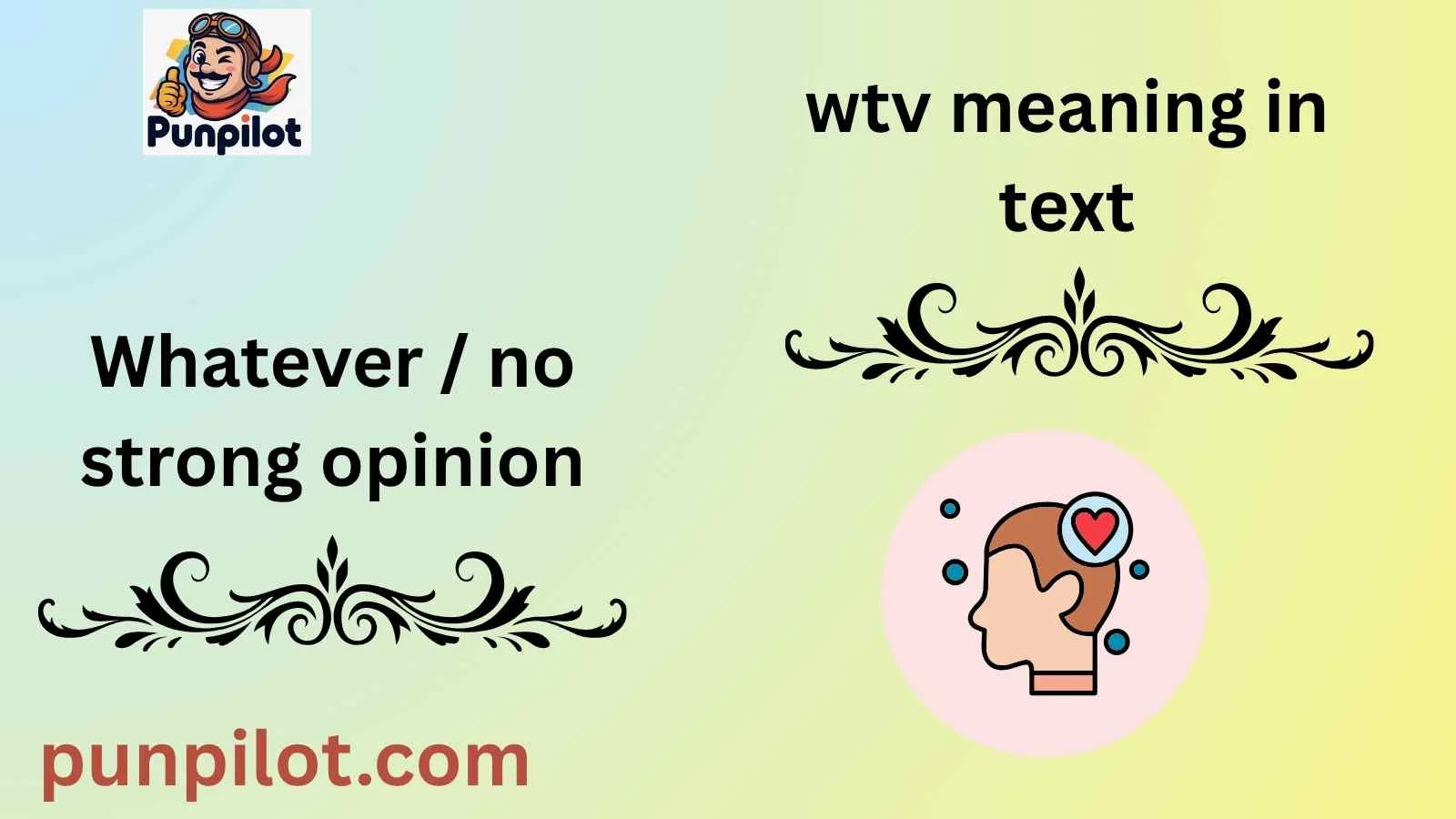 wtv meaning in text