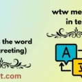 wtw meaning in text