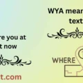WYA meaning in text