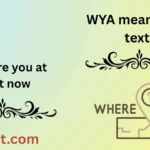 WYA meaning in text