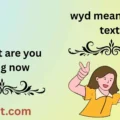 wyd meaning in text