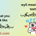 wyll meaning in text
