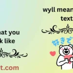 wyll meaning in text
