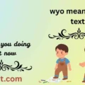 wyo meaning in text