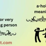 a-hole meaning