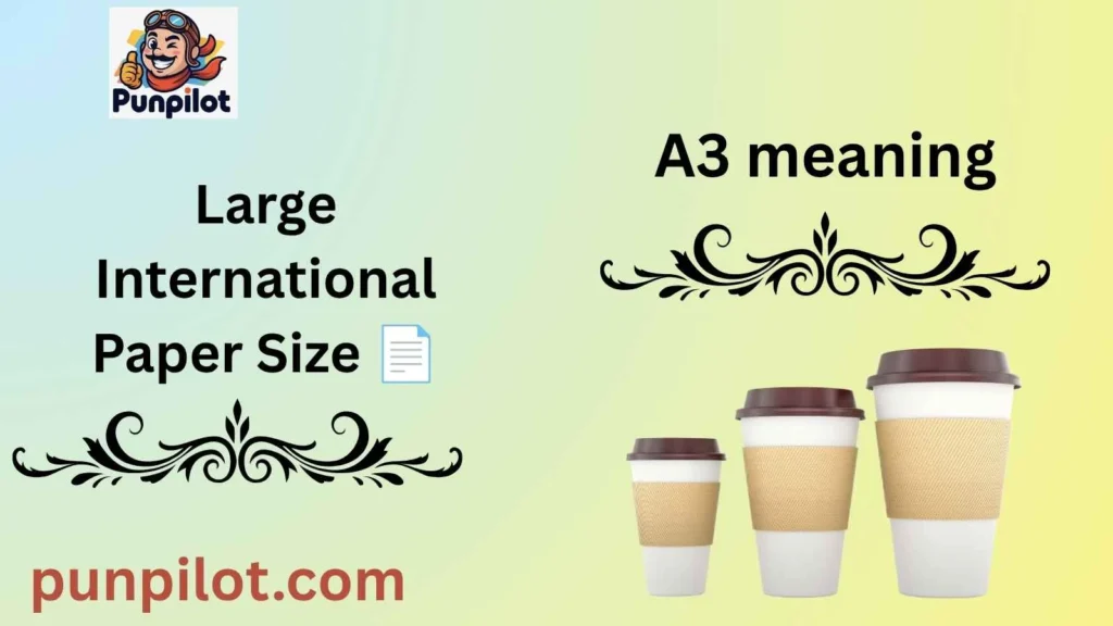 A3 meaning