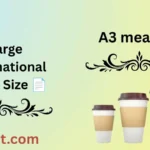 A3 meaning