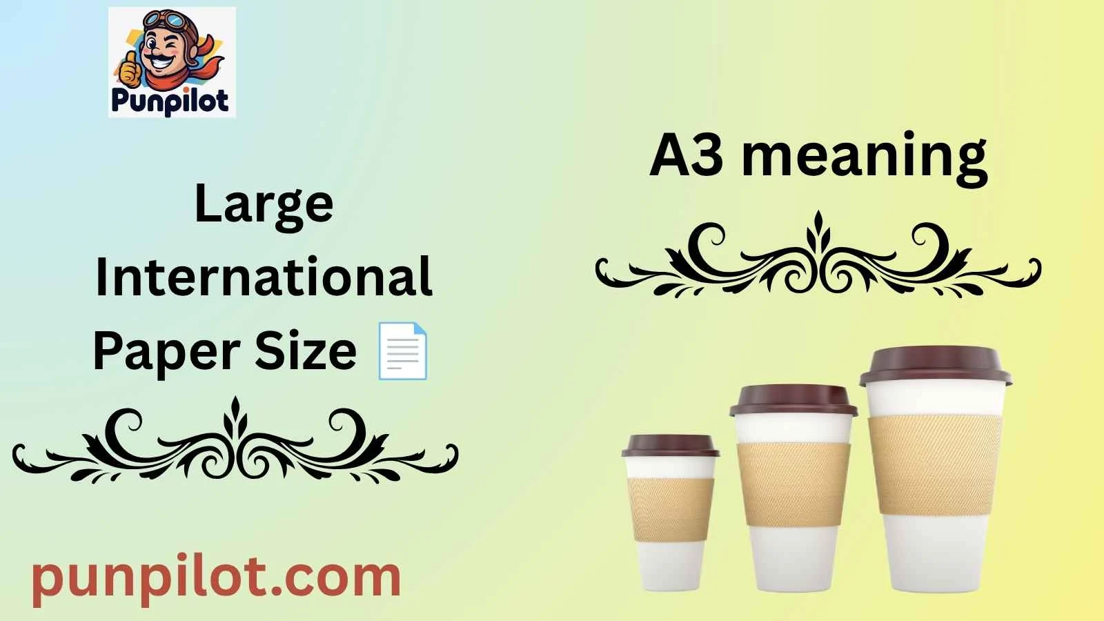 A3 meaning