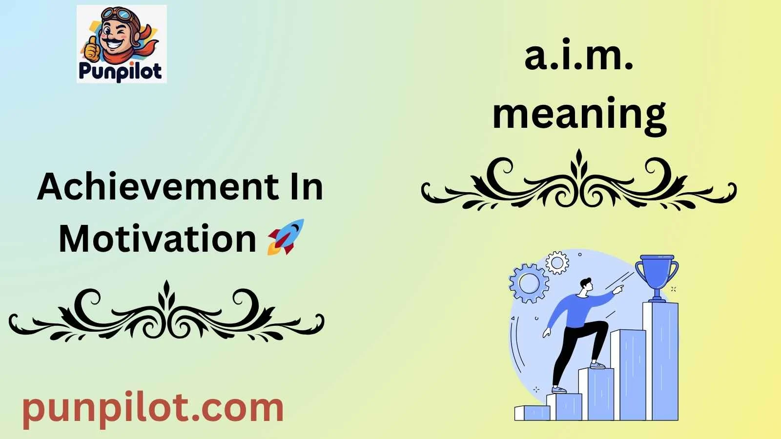 a.i.m. meaning