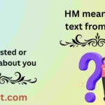 HM meaning in text from a girl