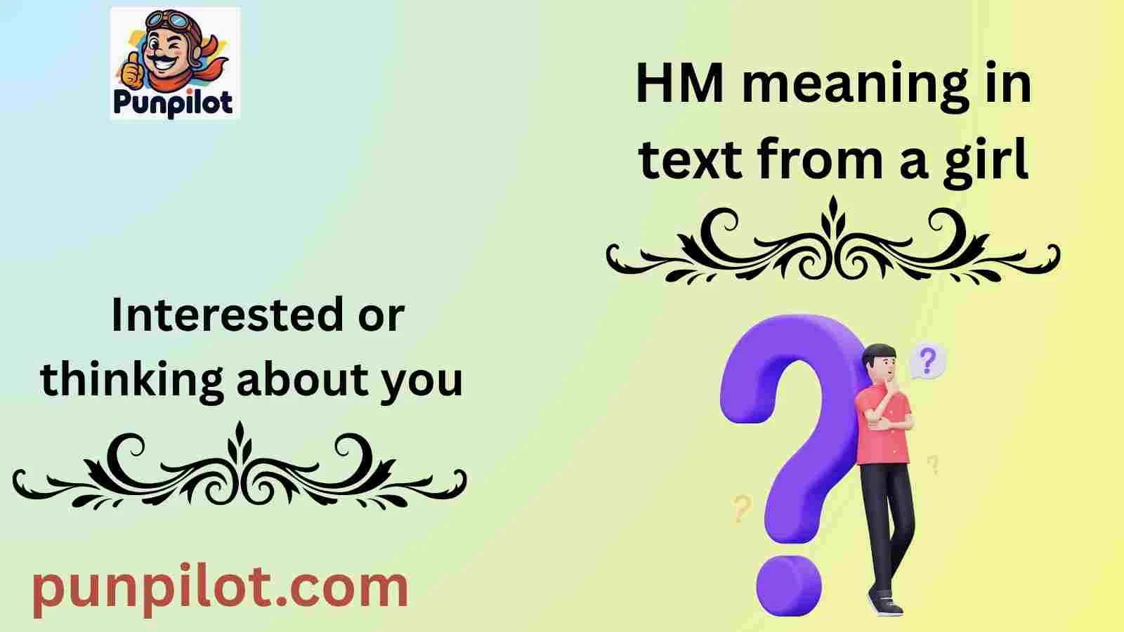 HM meaning in text from a girl