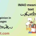 IMAO meaning in text