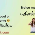 Noice meaning