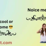 Noice meaning