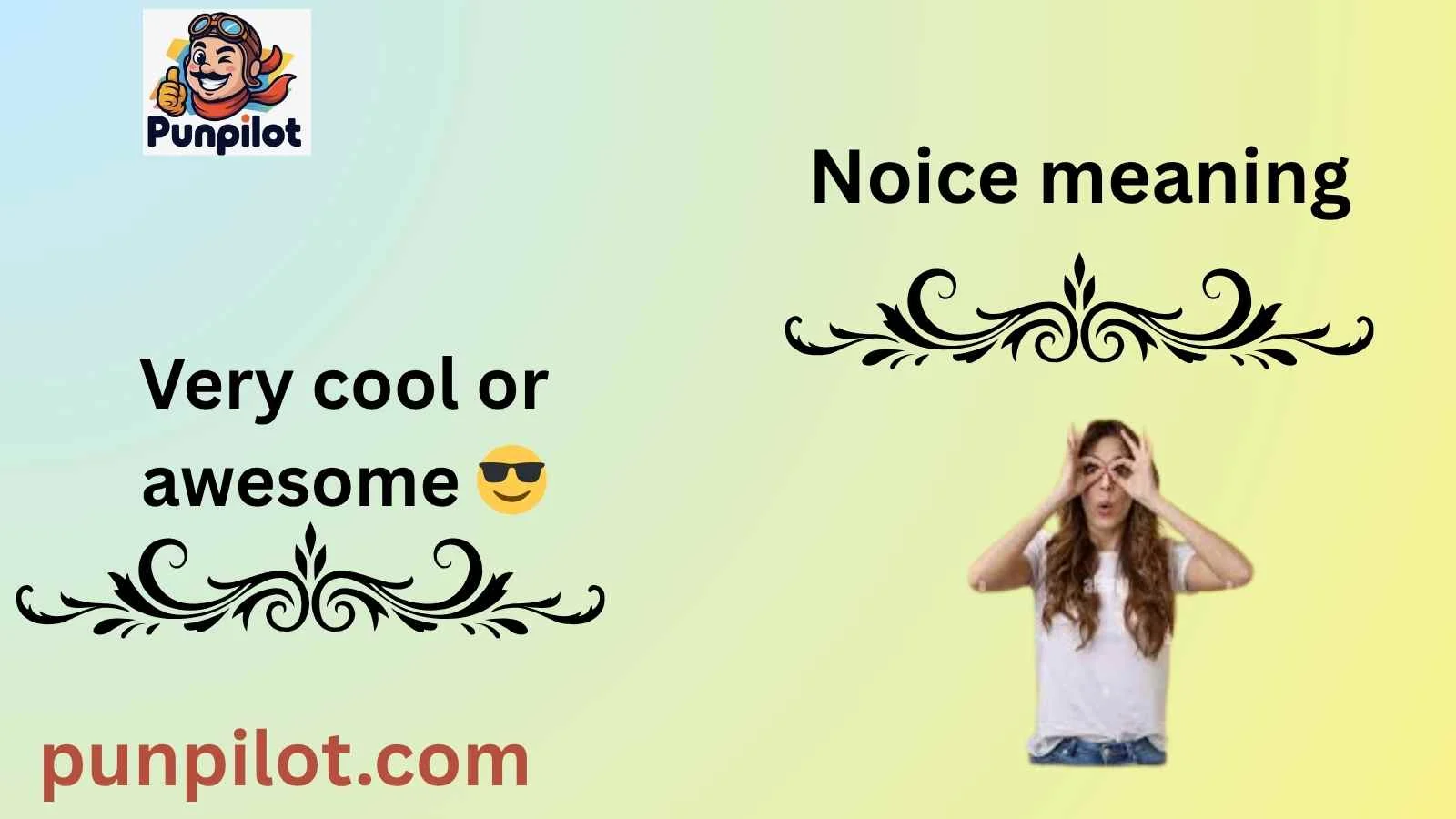 Noice meaning