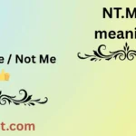 NT.MY meaning