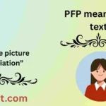 PFP meaning in text