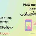 PMO meaning in text