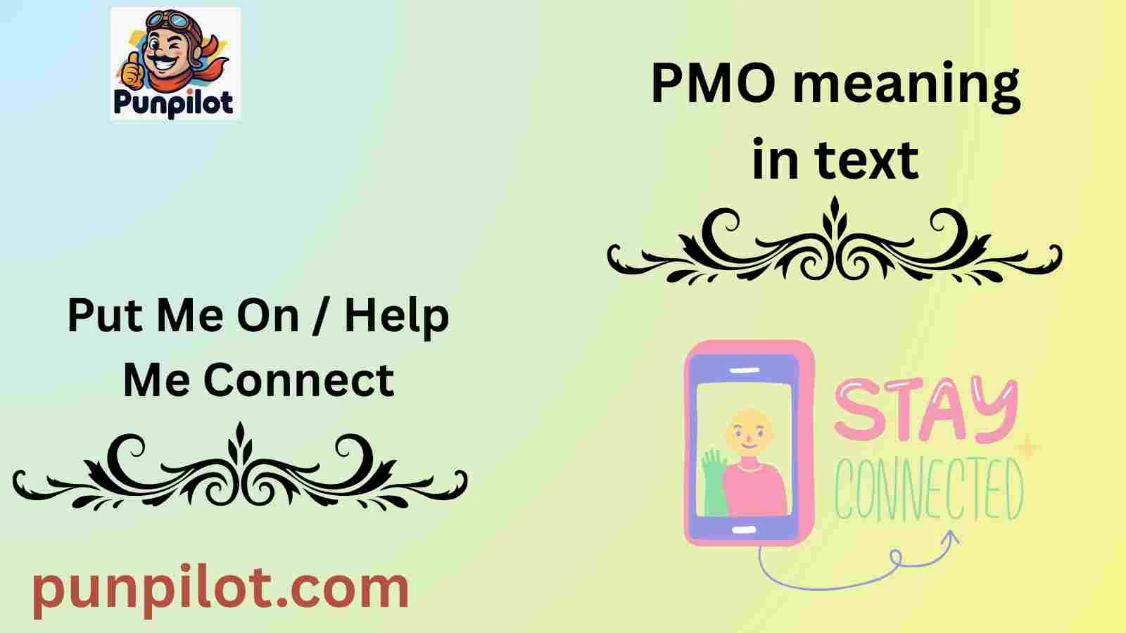 PMO meaning in text