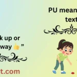 PU meaning in text