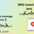SMS meaning in text