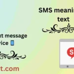 SMS meaning in text