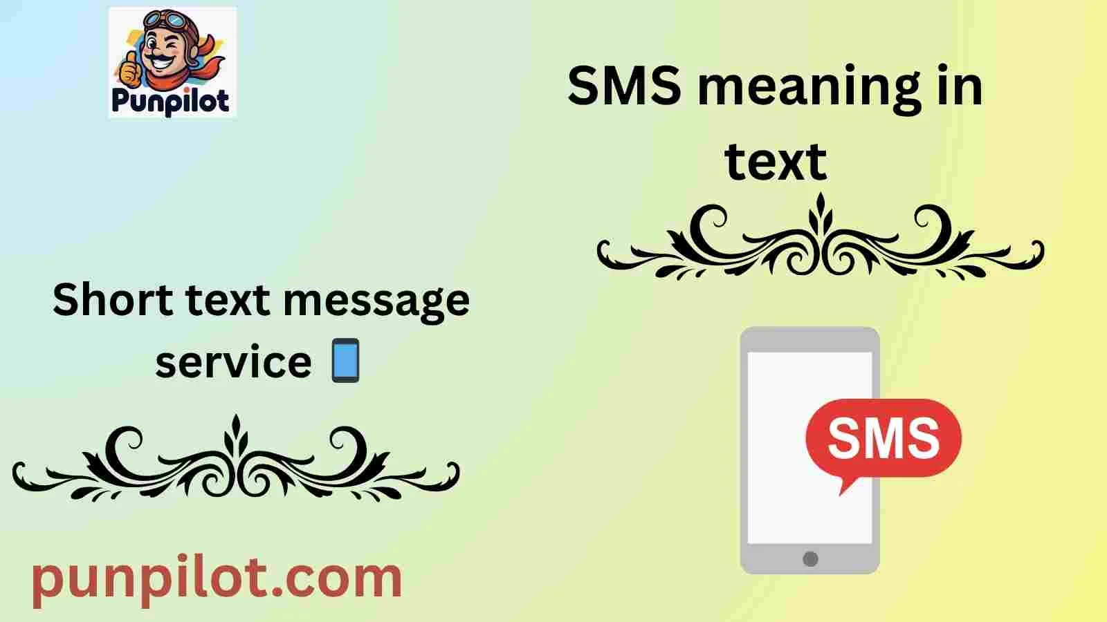 SMS meaning in text