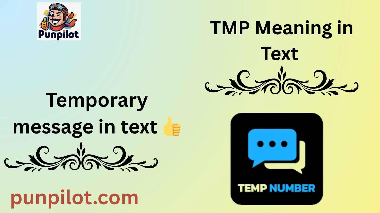 TMP Meaning in Text