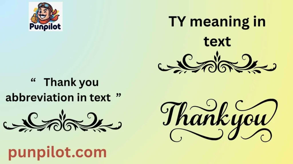 TY meaning in text